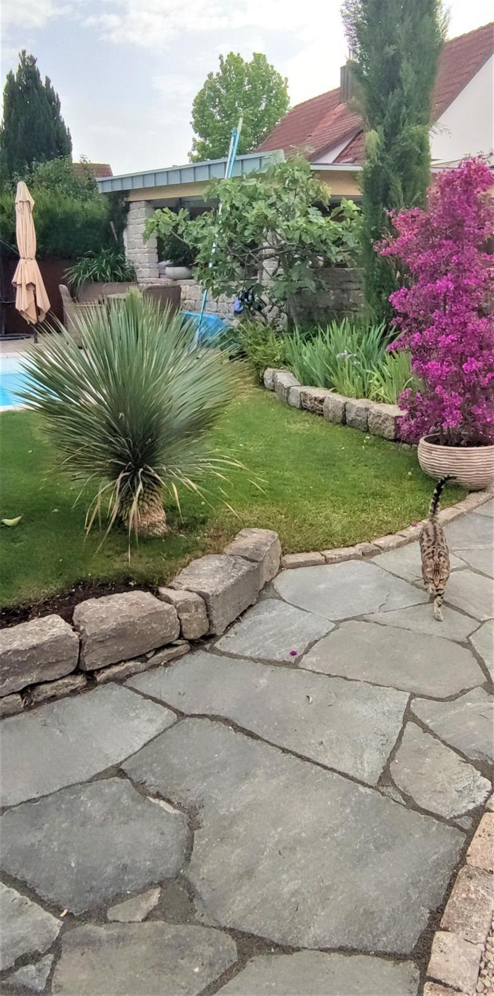 Bel Giardino Apartment Friedrichshafen Ngoại thất bức ảnh