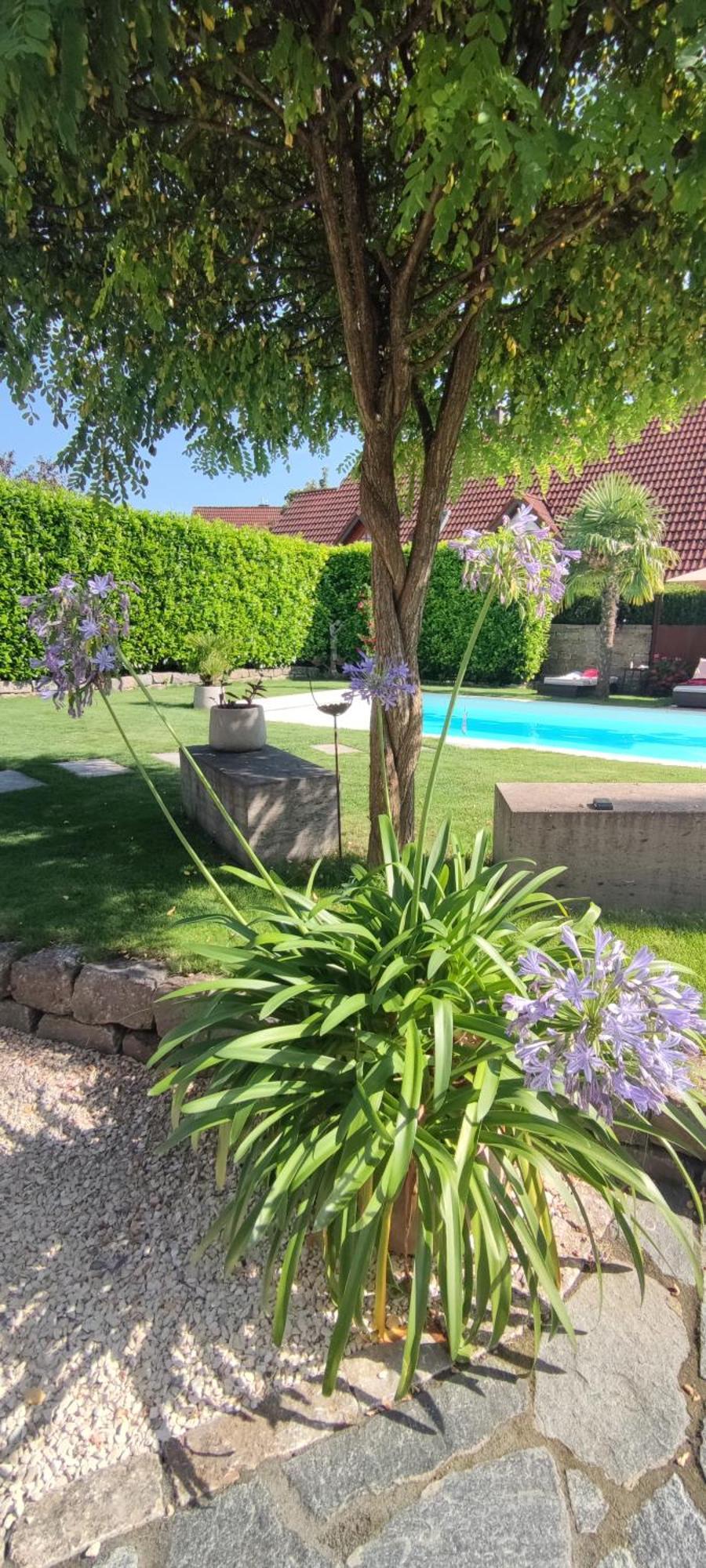 Bel Giardino Apartment Friedrichshafen Ngoại thất bức ảnh